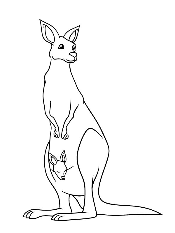 Stehendes Känguru mit Baby Ausmalbild