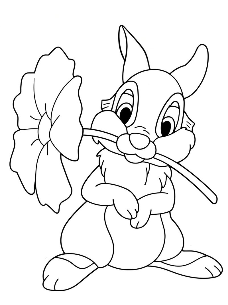 Klopfer mit einer Blume Ausmalbild Klopfer mit einer Blume Ausmalbild