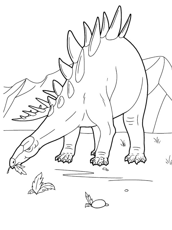 Stegosaurus Ausmalbild Stegosaurus Ausmalbild