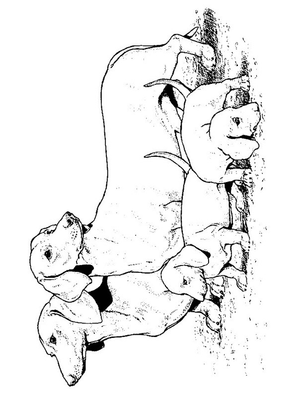 Dachshunds Ausmalbild Dachshunds Ausmalbild