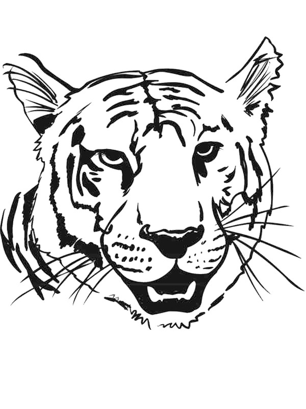 Tiger kopf Ausmalbild