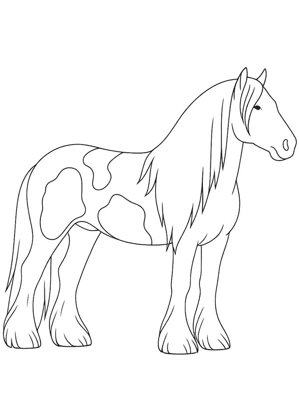 Tinker Pferd Ausmalbild Tinker Pferd Ausmalbild