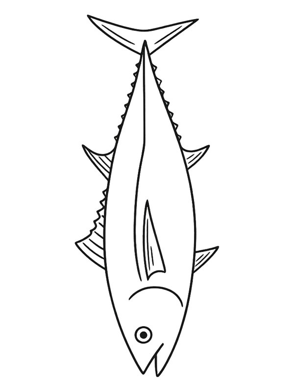 Thunfisch Ausmalbild Thunfisch Ausmalbild
