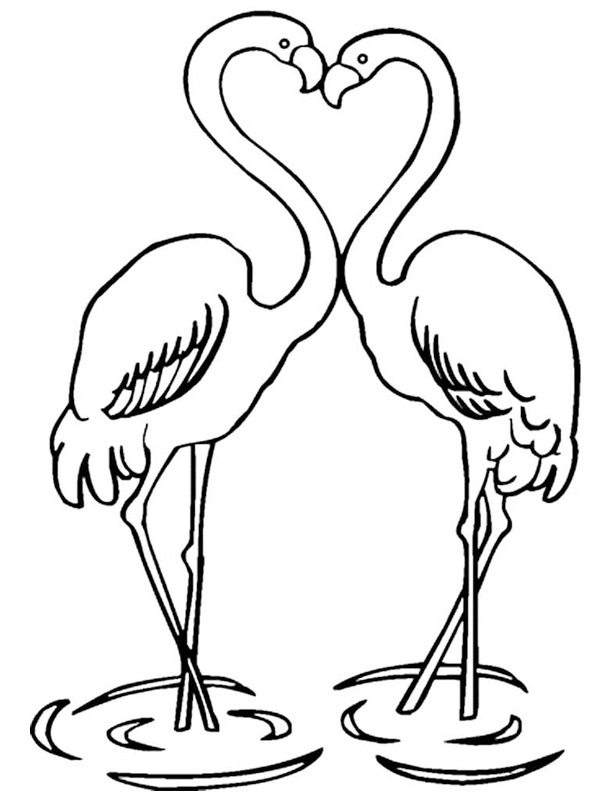 Verliebte Flamingos Ausmalbild