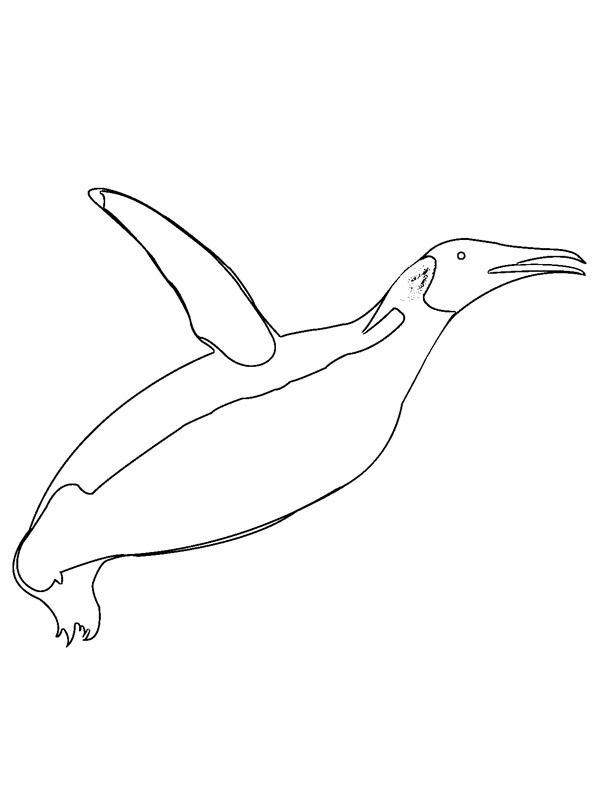 Fliegender Pinguin Ausmalbild