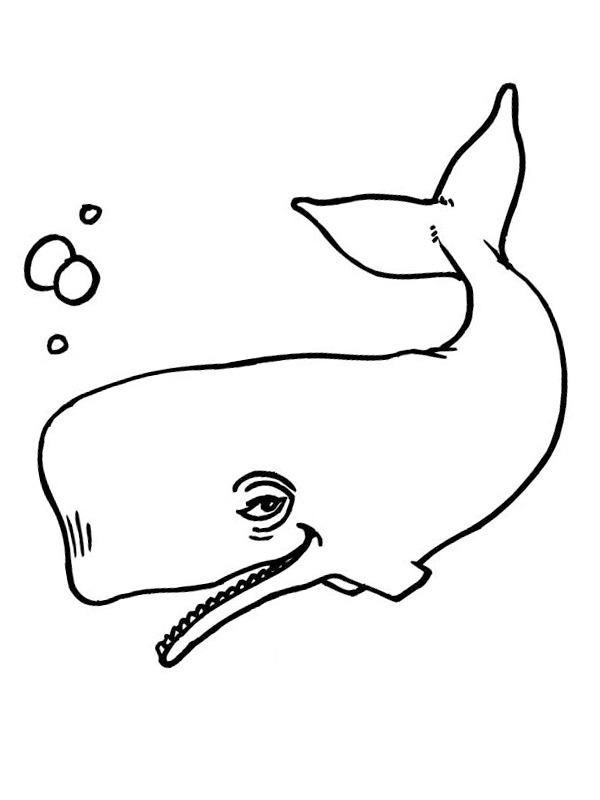 Walfisch Ausmalbild