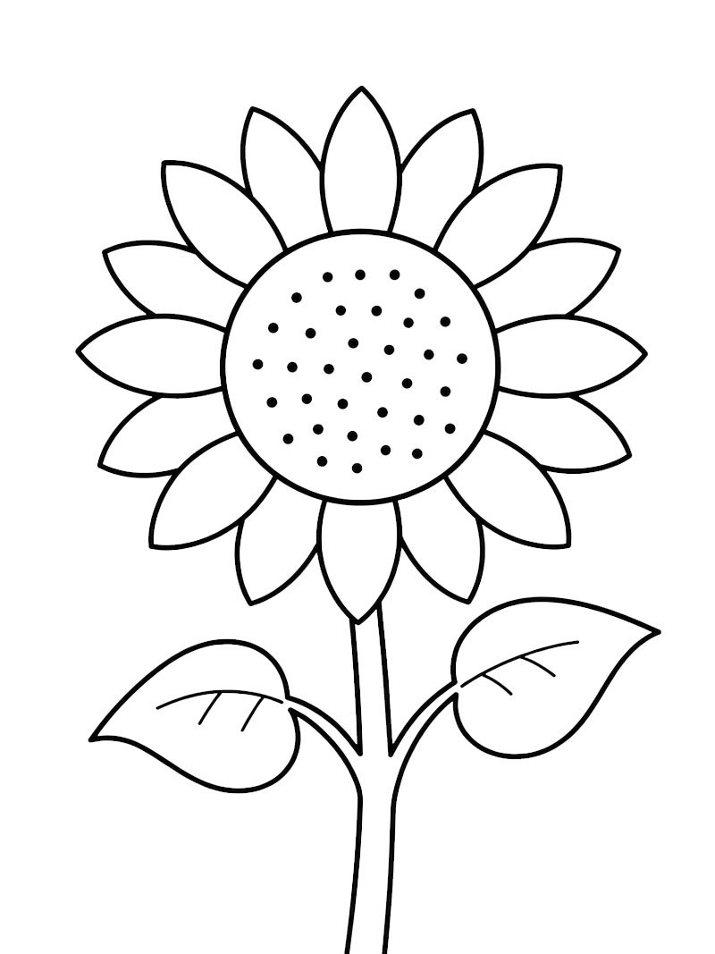 Sonnenblume für Kleinkinder Ausmalbild Sonnenblume für Kleinkinder Ausmalbild