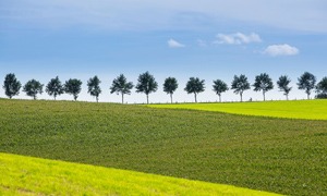 Landschaft