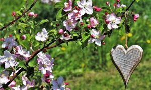 Frühling