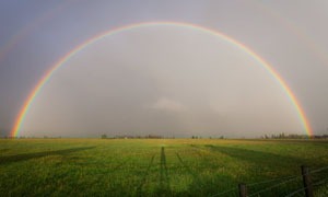 Regenbogen